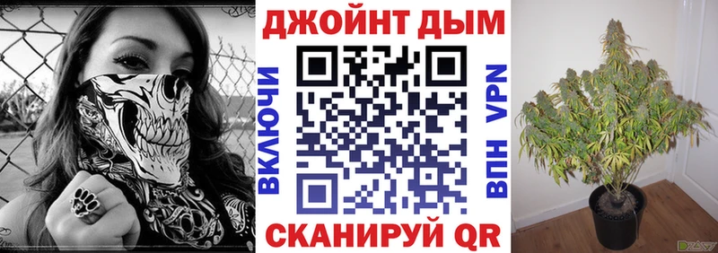 Конопля сатива  продажа наркотиков  Кизляр 